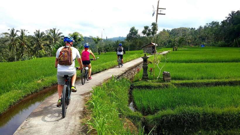 Ubud: Half-Day Tegallalang Electric Cycling Tour - Itinerary Breakdown