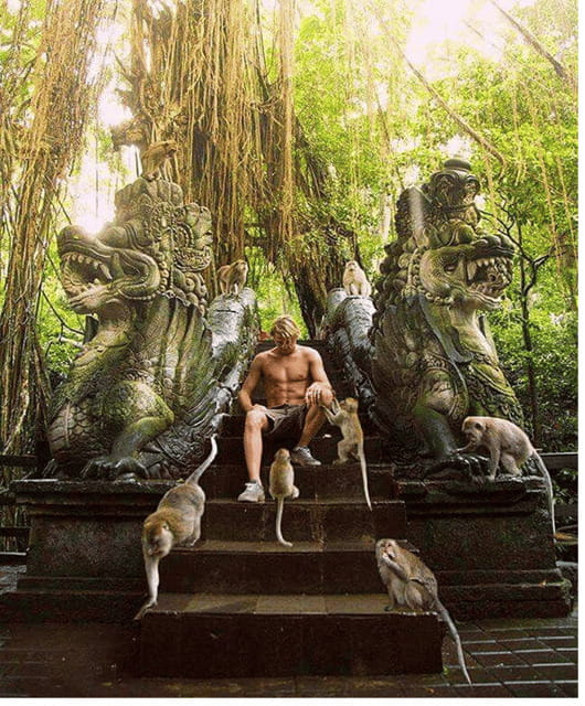 Ubud: Highlight Nature Wildlife, Swing & Waterfall - Practical Details and Tips