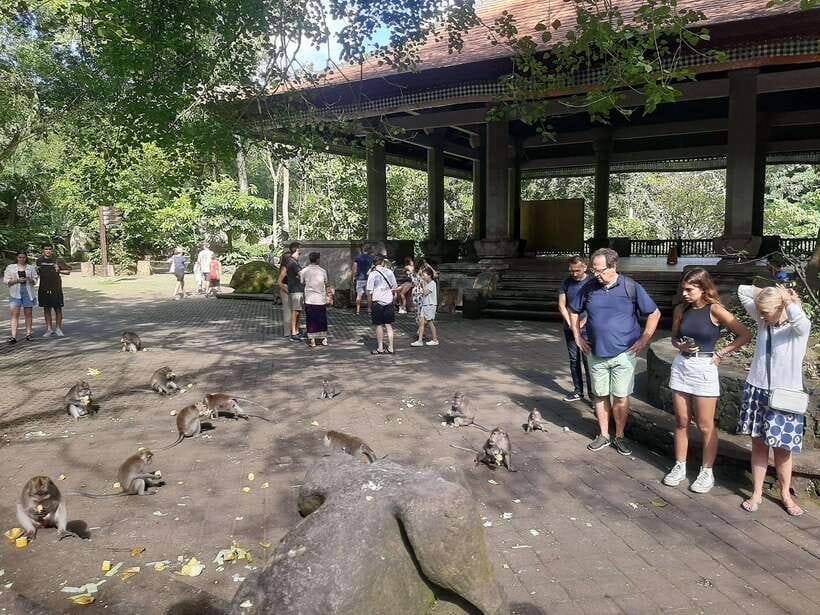 Ubud: Monkey Forest, Rice Terrace, and Waterfall - Additional Details and Practical Tips