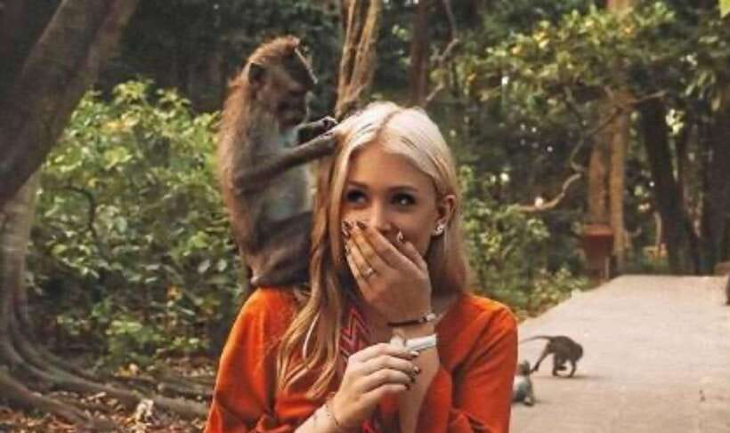 Ubud: Monkey Forest, Rice Terraces, Waterfall & Temple - Scenic Walks: Tegalalang Rice Terraces