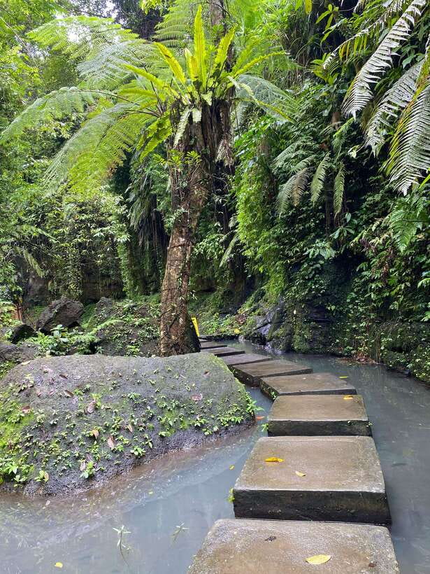 Ubud: Rice Terrace, Monkey Forest, Temple, & Waterfall - Why This Tour Offers Great Value
