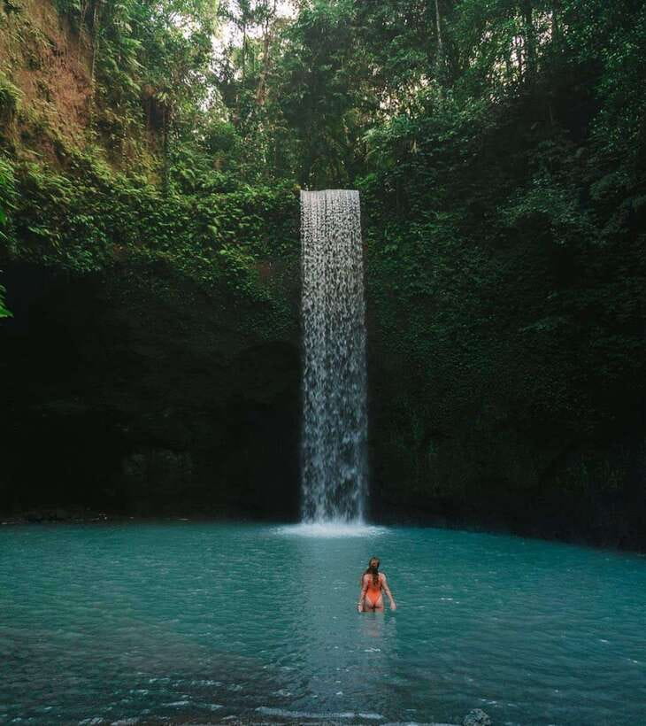 Ubud: Rice Terrace, Monkey Forest, Waterfall Private Tour - Why This Tour Offers Good Value