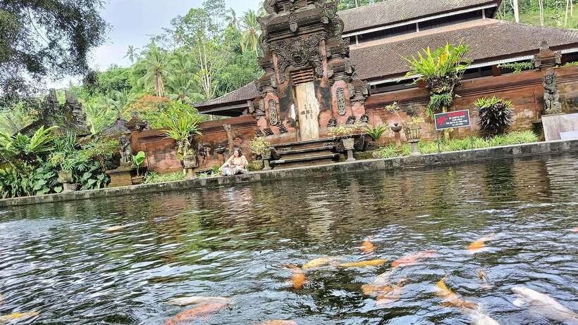 Ubud: Tirta Empul, Rice Terrace, Waterfall and Custom Tour - Exploring the Ubud Experience in Detail