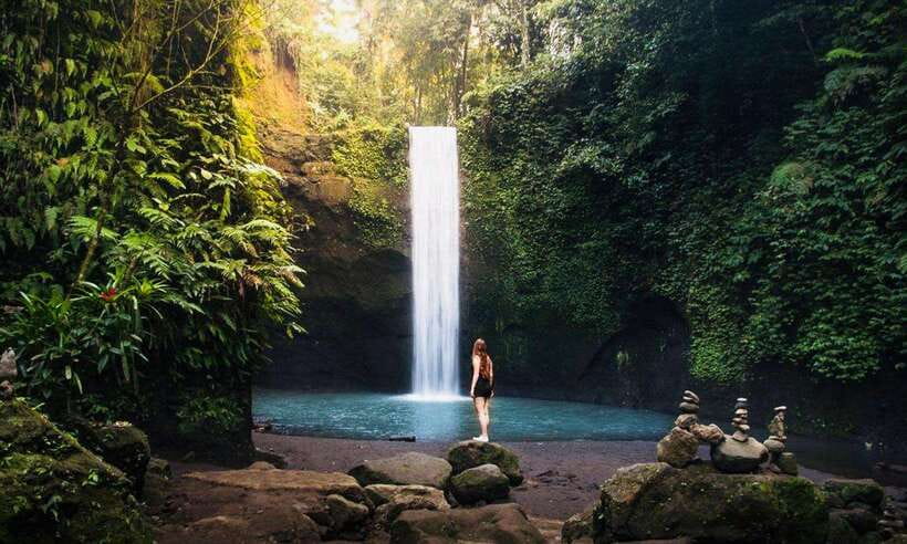 Ubud: Water Temple, Rice Terrace, Waterfall, Private Tour - The Itinerary Breakdown