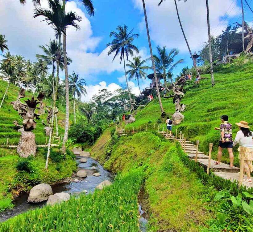 Ubud: Waterfall, Holy Water Temple,Swing&coffee plantation - What to Expect: Practical Details