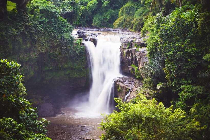 Ubud: Waterfall, Rice Terrace & Temple Private Day Tour - Final thoughts
