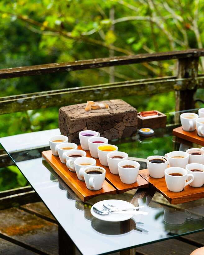 Ubud: Waterfalls and Tegalalang Rice Terrace private Tour - The Sum Up