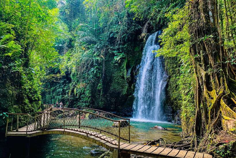 Ubud: Waterfalls, Sacred Monkey Forest & Rice Terraces Tour - Who Will Love This Tour?