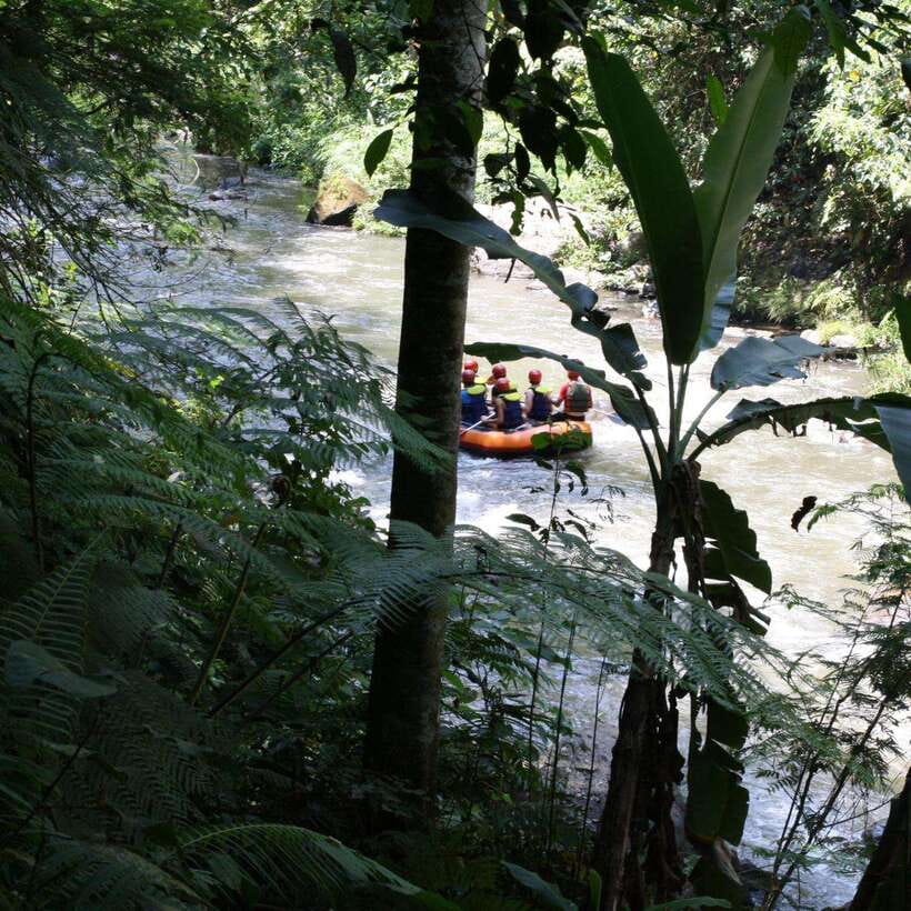 Ubud: White Water Rafting Adventure Tour - Why It Works for Different Travelers