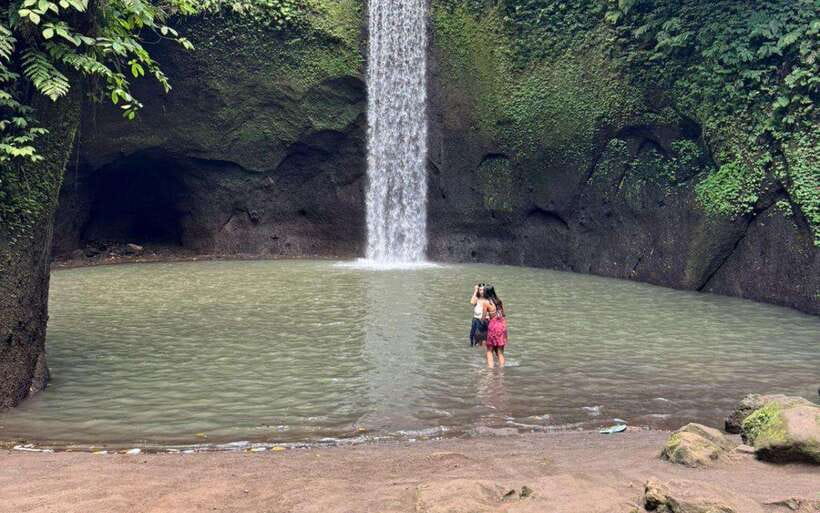 Ubud:private tour riceterace&swing waterfall& tirta empul - Practical Details and Value