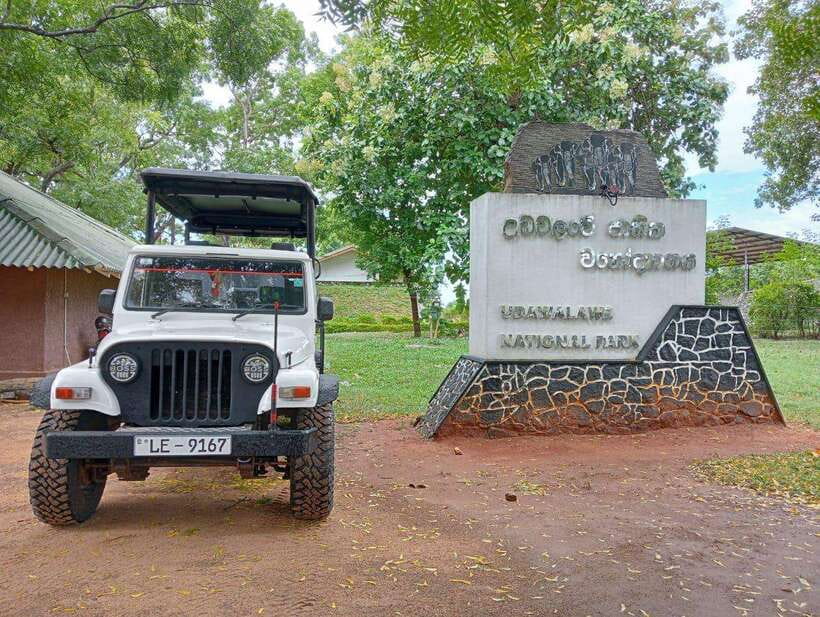 Udawalawe National Park Safari Adventure ( privet tour) - Itinerary Breakdown — What You’ll Experience