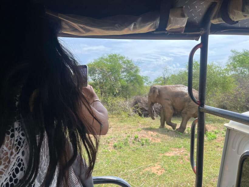 Udawalawe National Park Wildlife Safari from Hambantota Port - What Makes This Tour Stand Out?