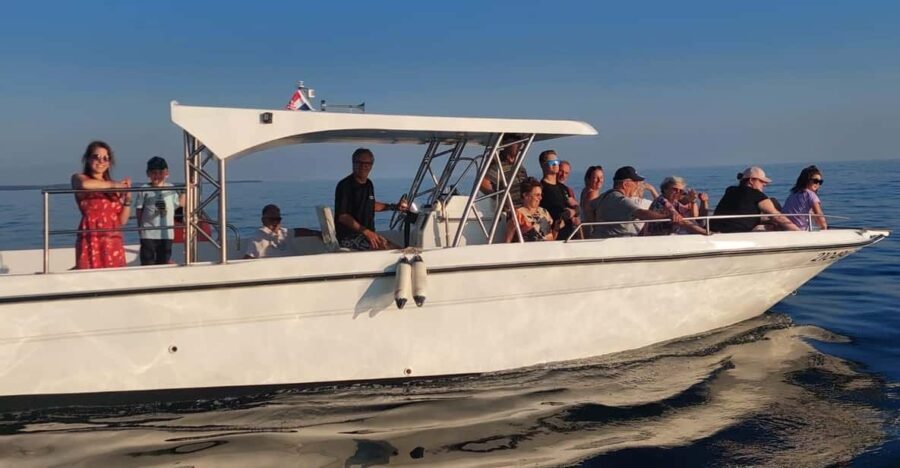 Umag: Dolphinwatching & sunset panorama tour - Authentic Feedback from Travelers