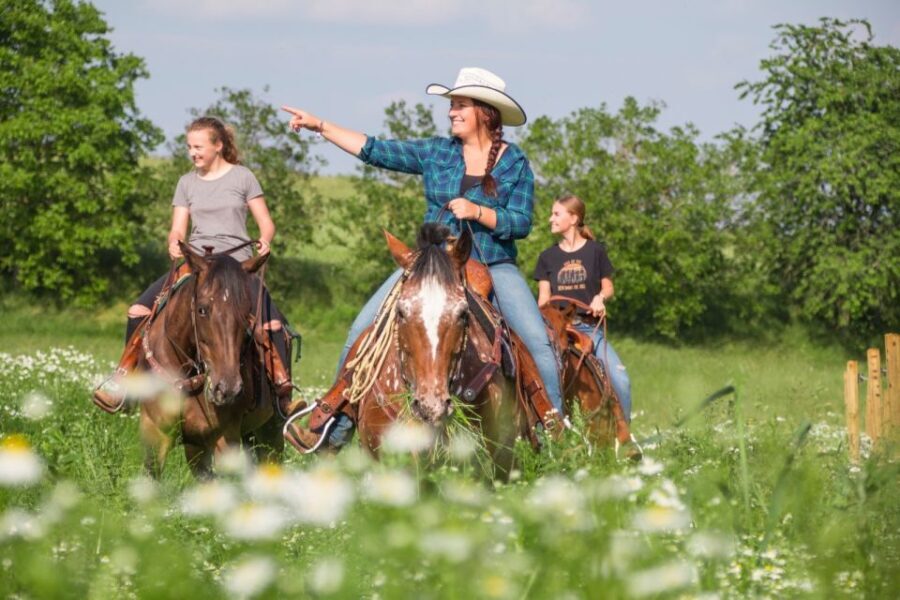 Upper Austria: landscape, forests, meadows - Why This Tour Offers Real Value