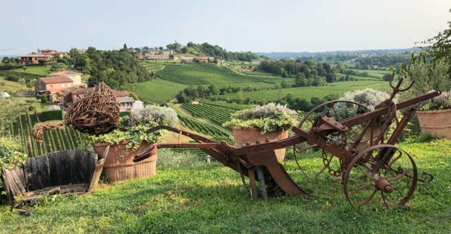 Venice: Prosecco Hills Wineries Tour with Tastings and Lunch - Who Will Love This Tour