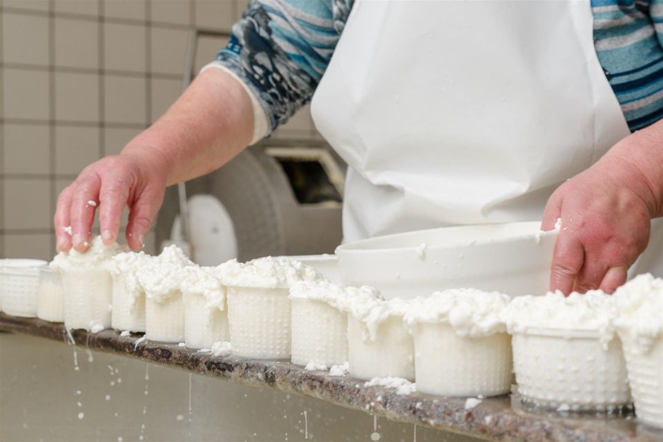 Vico Equense: Tour in the dairy "Mozzarella Experience" - The Setting and Atmosphere
