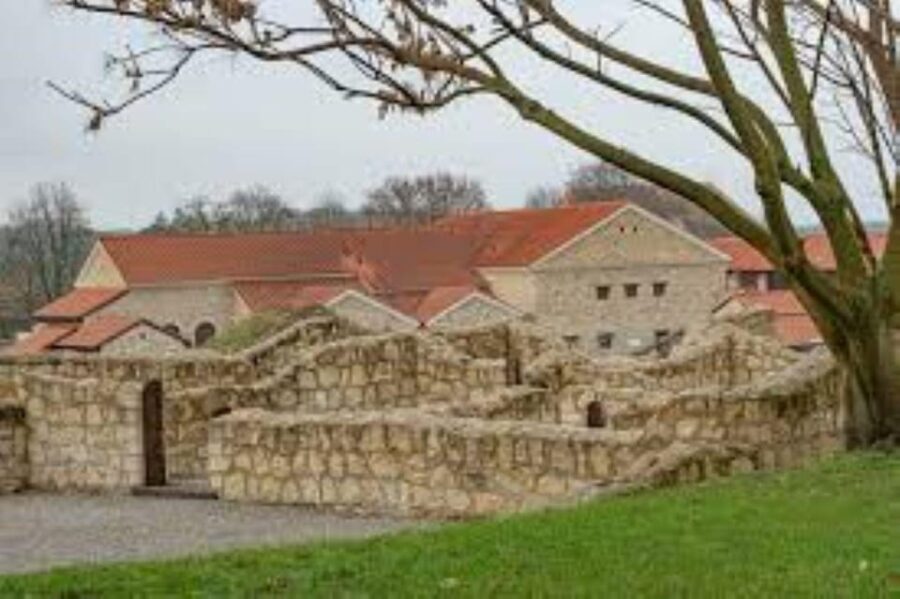 Vienna: Carnuntum Roman city tour with guide - Practical Details & Tips