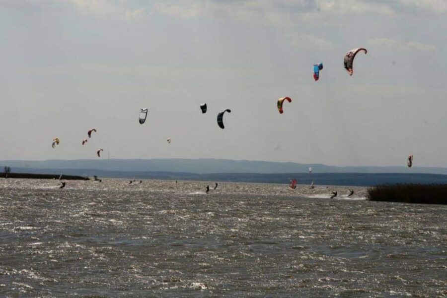 Vienna: Private tour Lake Neusiedl, Rust (wine tasting) Purbach - Analyzing the Tour’s Value