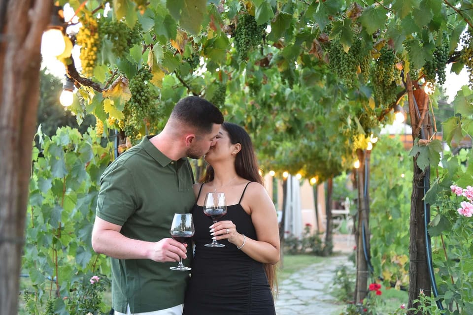 Vineyard Escape, Walk, Lunch and Wine Tasting - Practical Details and Value