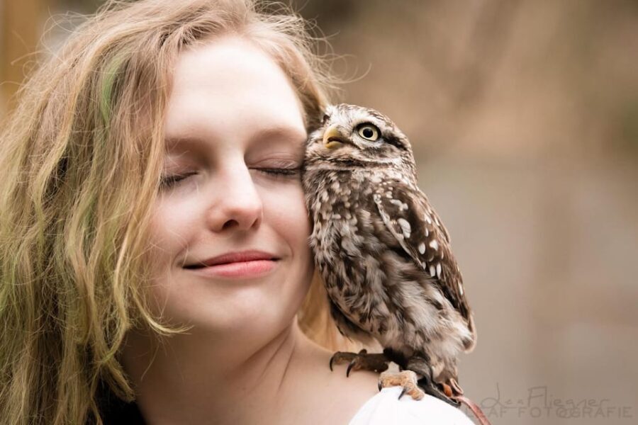 VIP falconry taster session - What Is the VIP Falconry Taster Session?