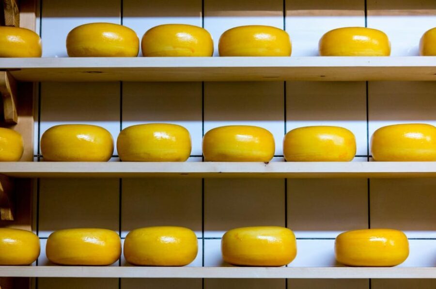 Visit family farm and enjoy cheese degustation - The Value of This Experience