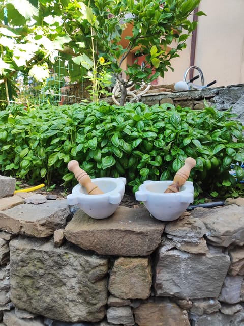 Volastra: BarCa Wine Tasting in Cinque Terre and Pesto Class - Wine Tasting and Vineyard Tour