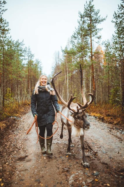 Walk with Reindeer - In-Depth Look at the Itinerary