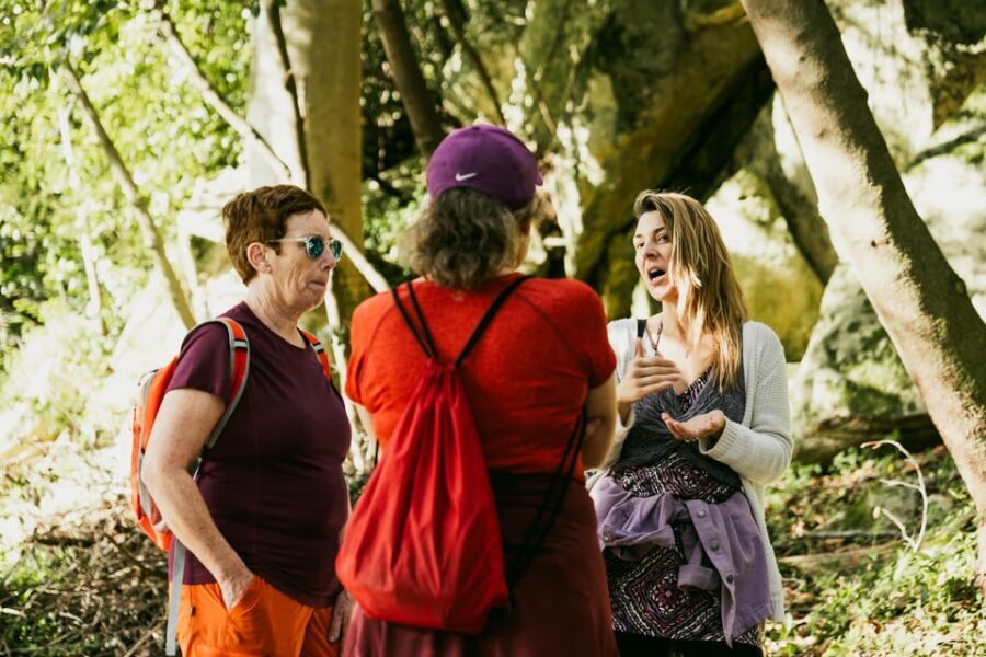 Walking tour:Pena Palace, Moorish Castle,Quinta da Regaleira - Analysis of Value and Practical Tips