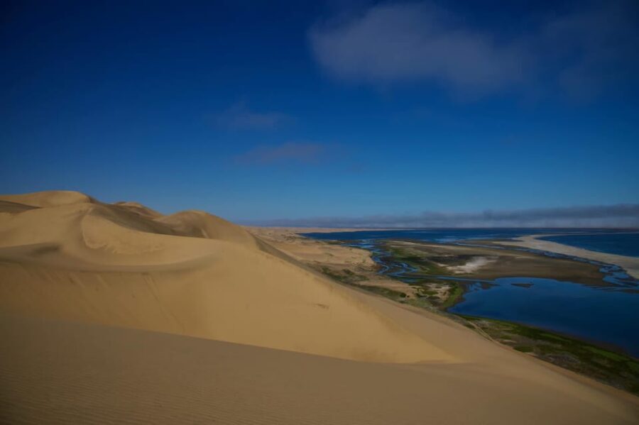 Walvis Bay: Sandwich Harbour Half-Day 4x4 Scenic Excursion - Who Should Consider This Tour?