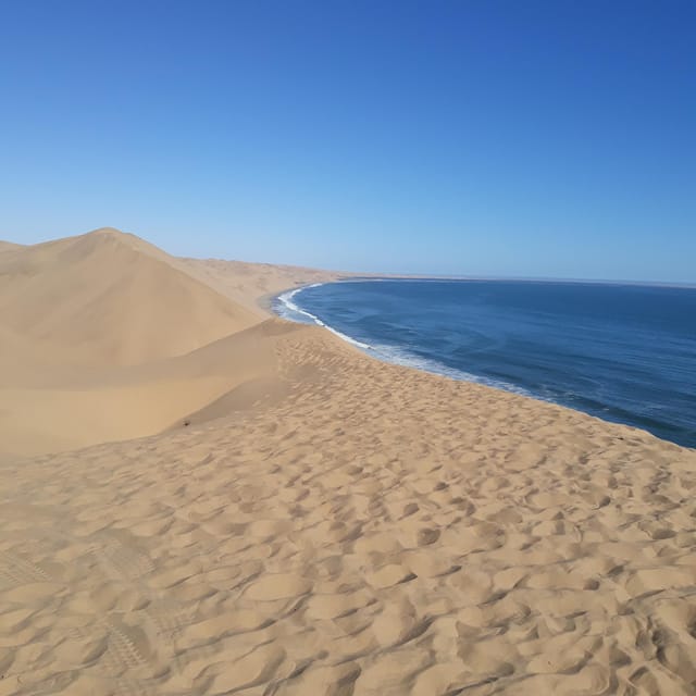 Walvis Bay: Scenic Sandwich Harbour Tour - What the Tour Includes and Practical Details