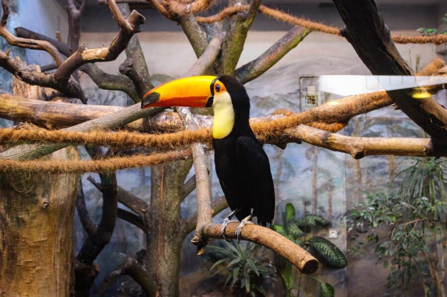 Warsaw Zoo Skip-the-Line Entry Ticket with Private Transport - Key Points