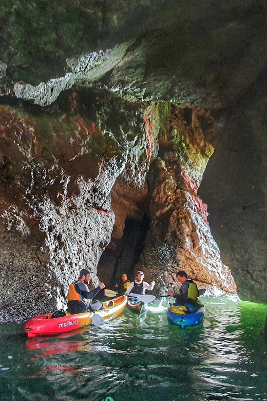 Wexford: Hell Hole & Back Sea Cave Kayaking - Why Choose This Tour?