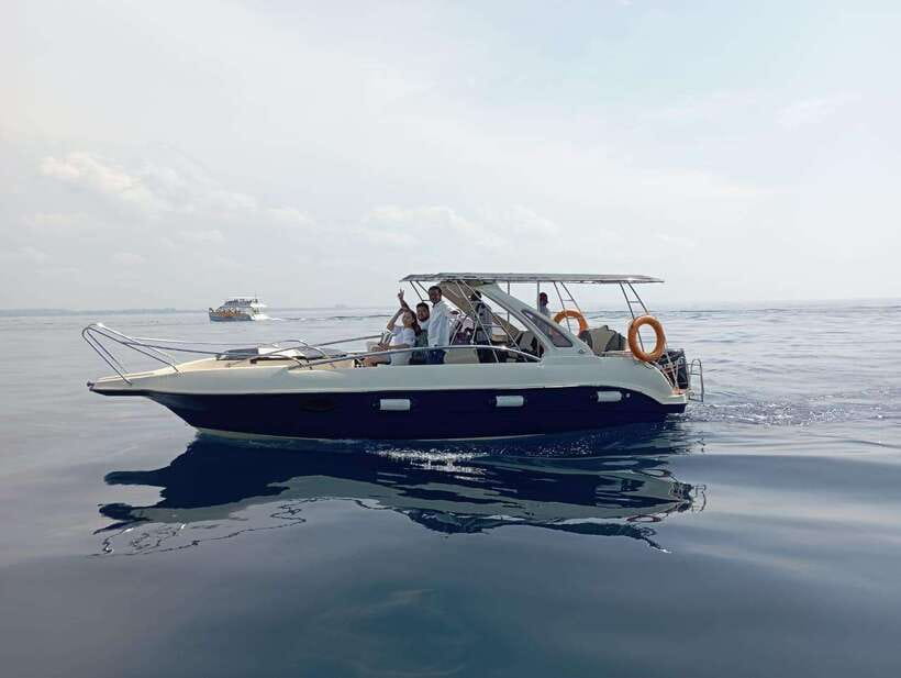 Whale Watching in Speed Boat in Mirissa - What You Need to Know Before Booking