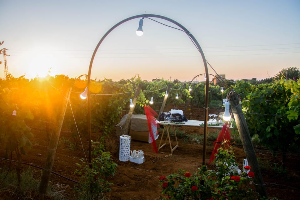 Wine and Food at Sunset - Tour Highlights