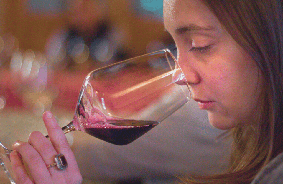 Wine Tasting Near the Aquarium of Genoa - Pricing and Booking