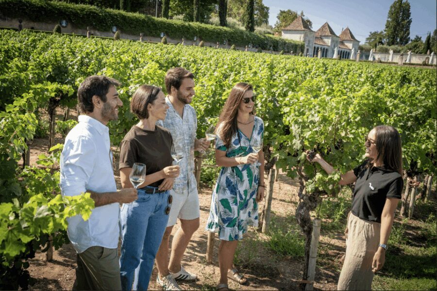 Winery Visit & Fish Market Tour with Tasting from Lisbon - How This Tour Adds Value