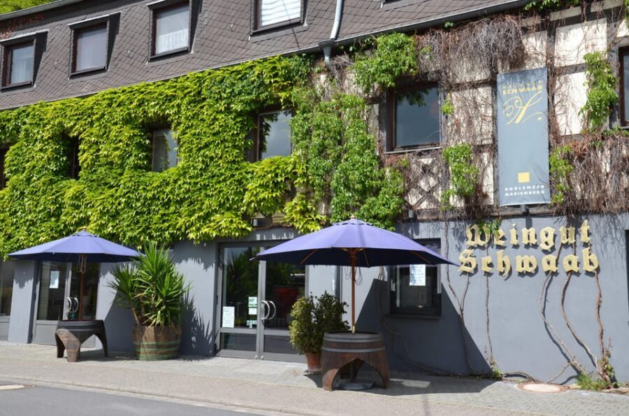 Winetasting / Weinprobe Koblenz - Who Will Love This Experience?