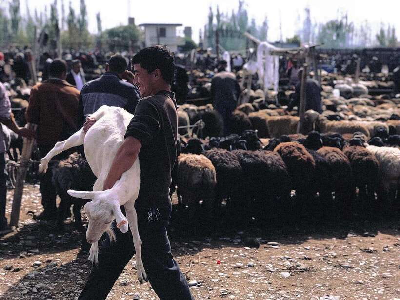 Xinjiang Best Classic Silk Road Tour with Locals - What’s the Travel Like?