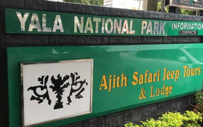 YALA National Park (7 - hours) Wildlife Safari Tour - In-Depth Look at the Itinerary