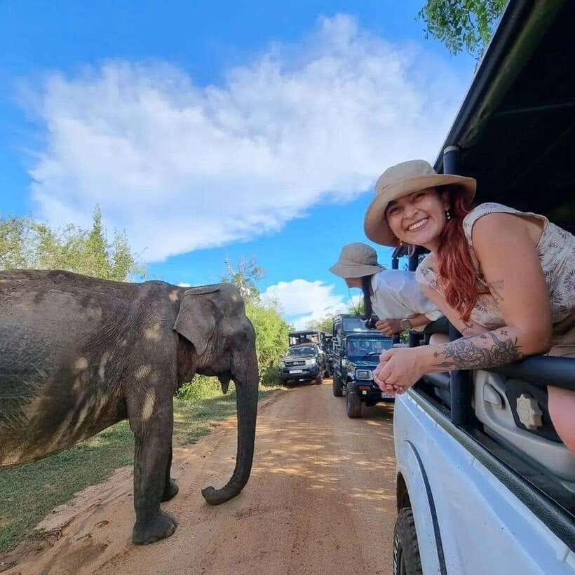 Yala National Park: All Inclusive Private Safari Day Trip - An In-Depth Look at the Tour Experience