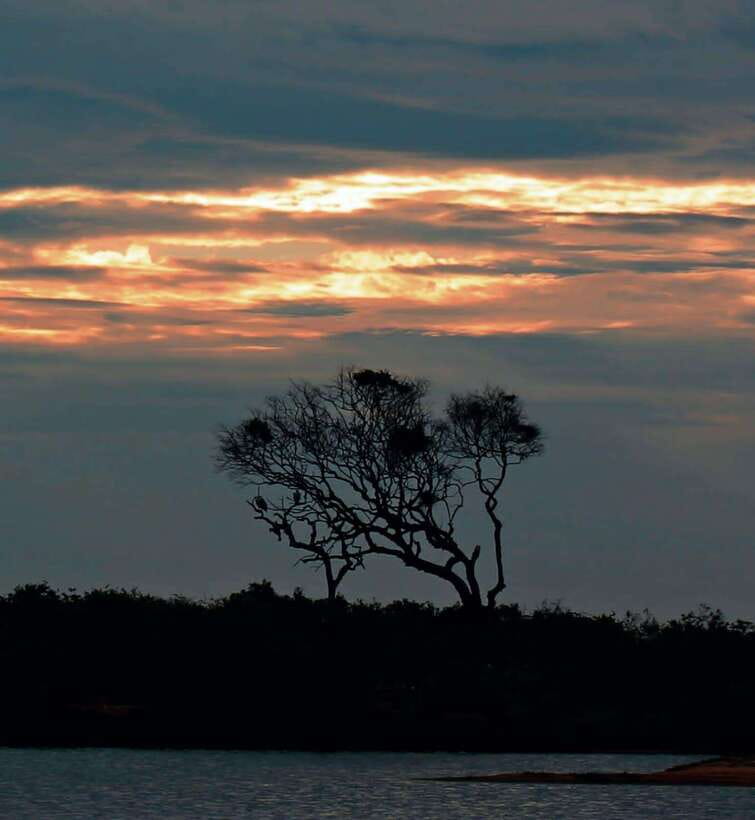 Yala National Park: Full day Safari Tour - Who Will Love This Tour?
