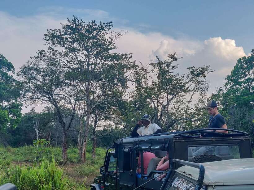 Yala National Park Private Safari from Ella - In-Depth Look at the Safari Experience