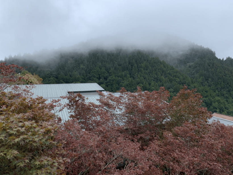 Yilan Taipingshan & Jiuzhize Hot Spring Private Day Trip - What’s Included and What Costs Extra