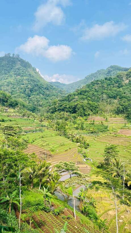 Yogyakarta: Borobudur Climb-Up Selogriyo Rice Field Trekking - The Journey to Selogriyo: A Gentle Rice Terrace Trek