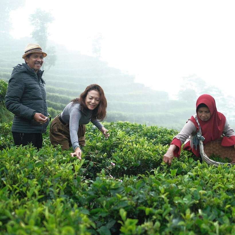 Yogyakarta Tea Class & Borobudur Climb Up Guided Shared Tour - Who Should Consider This Tour?