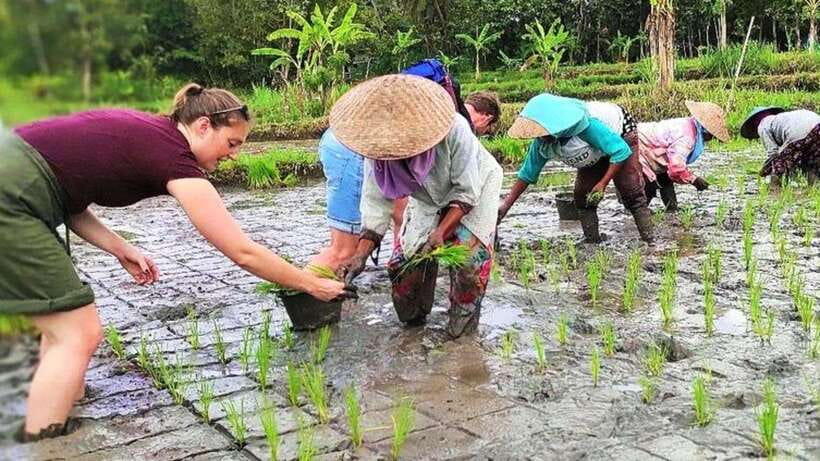 Yogyakarta: Village Cycling Tour with Classic Bicycle - Exploring Traditional Villages