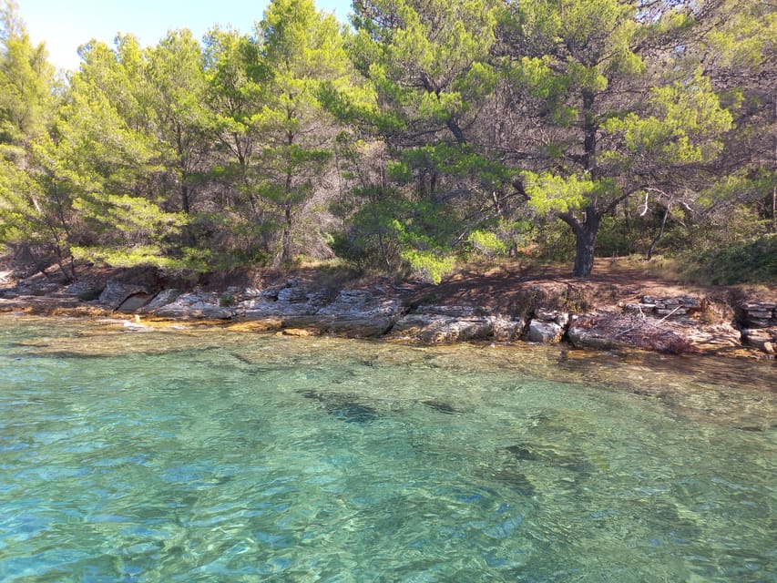Zadar: Sea, Sun, and Wind Half-Day Sailing Adventure - The Experience: What Travelers Say