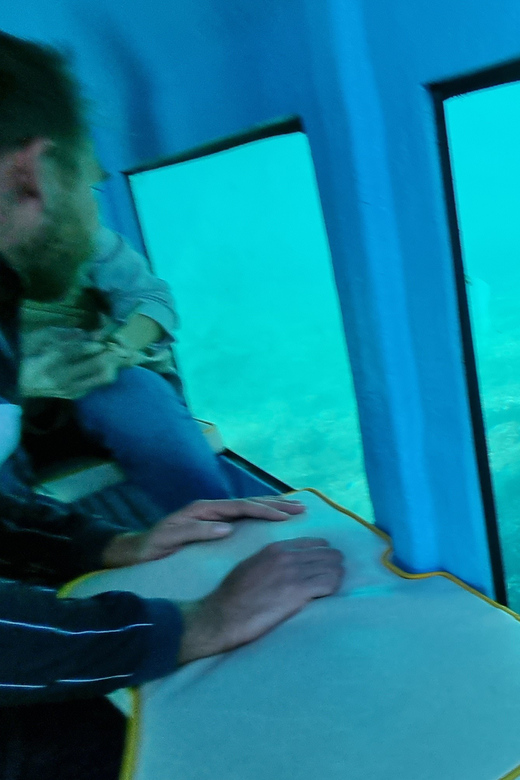 Zadar: Yellow Semi-Submarine Underwater Exploration Tour - What You Can Expect from the Zadar Semi-Submarine Tour