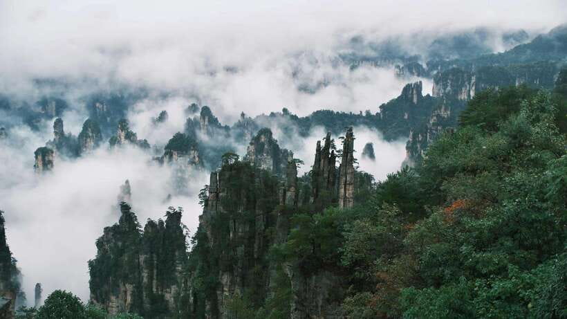 Zhangjiajie: VIP Zhangjiajie National Forest Park Day Tour - Why This Tour Stands Out