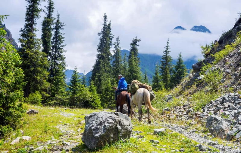1 Day Horse Riding Adventure in Borjomi Mountains - The Sum Up